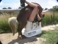 Girl receives drilled by a horse